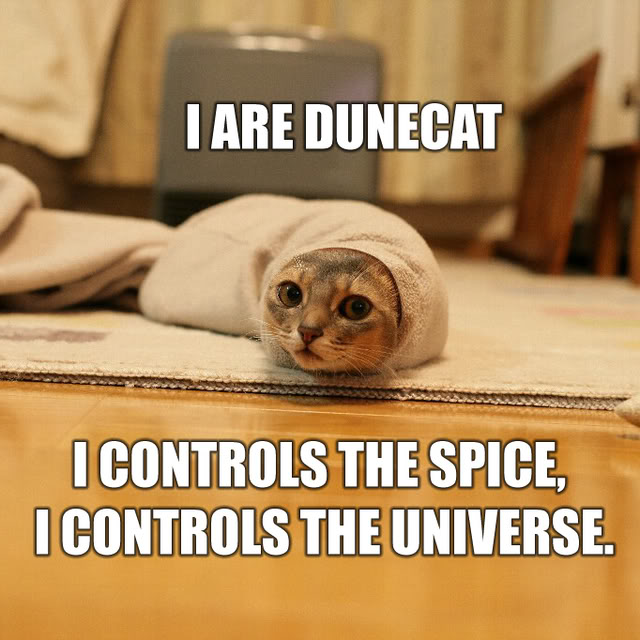 Dune Part Two … Can’t wait